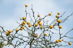 乾燥頭皮が悪化するNG習慣とは？