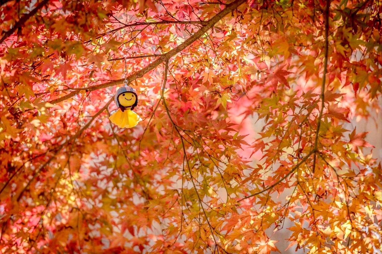 乾燥頭皮に悩むメンズ坊主でも出るフケの原因は？