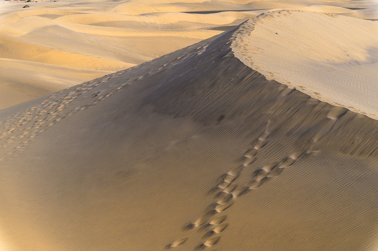 乾燥頭皮にアミノ酸シャンプーを使うとどんな効果があるの？