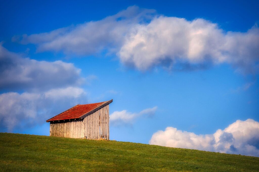 フケがひどい原因とシャンプー選びのポイントは？