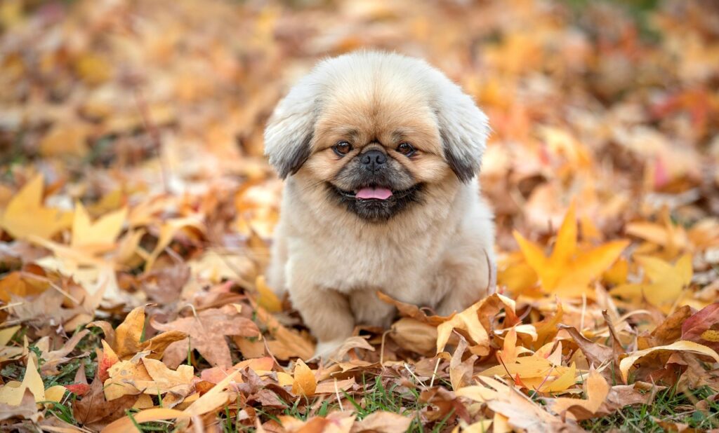 フケが出る原因とシャンプーの選び方は？