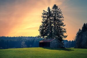 フケ対策に効果的なノンシリコンシャンプーはどれですか？