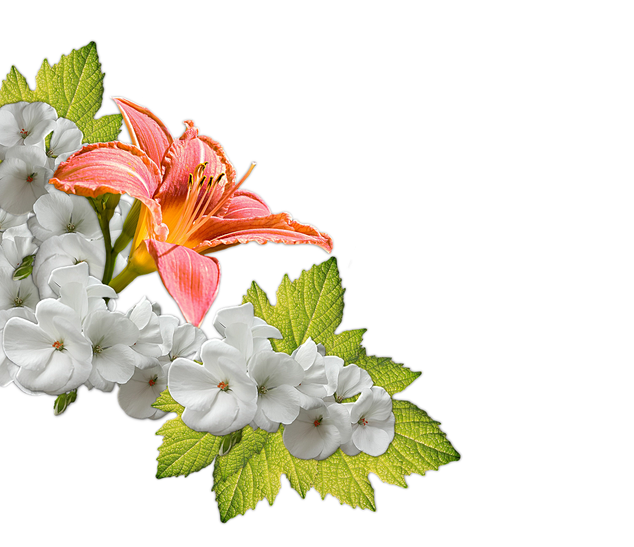 乾性フケを防ぐための頭皮保湿方法は？