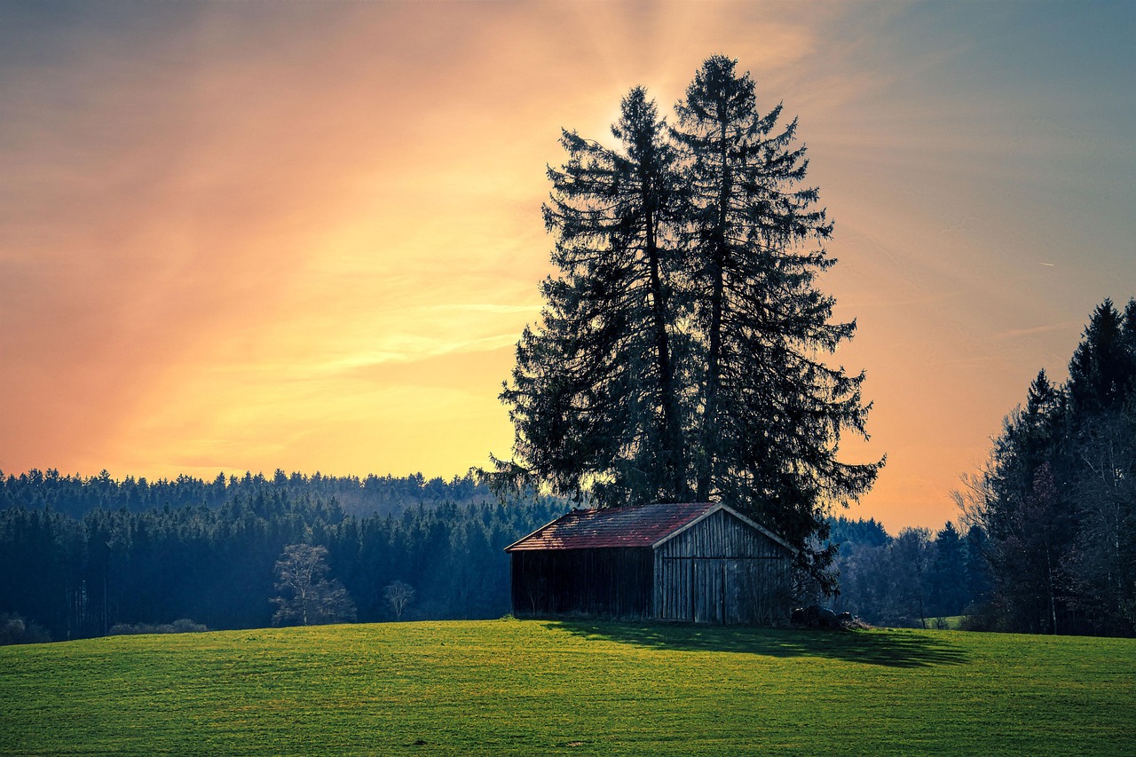 ノンシリコンシャンプーがフケに合わない理由とは？