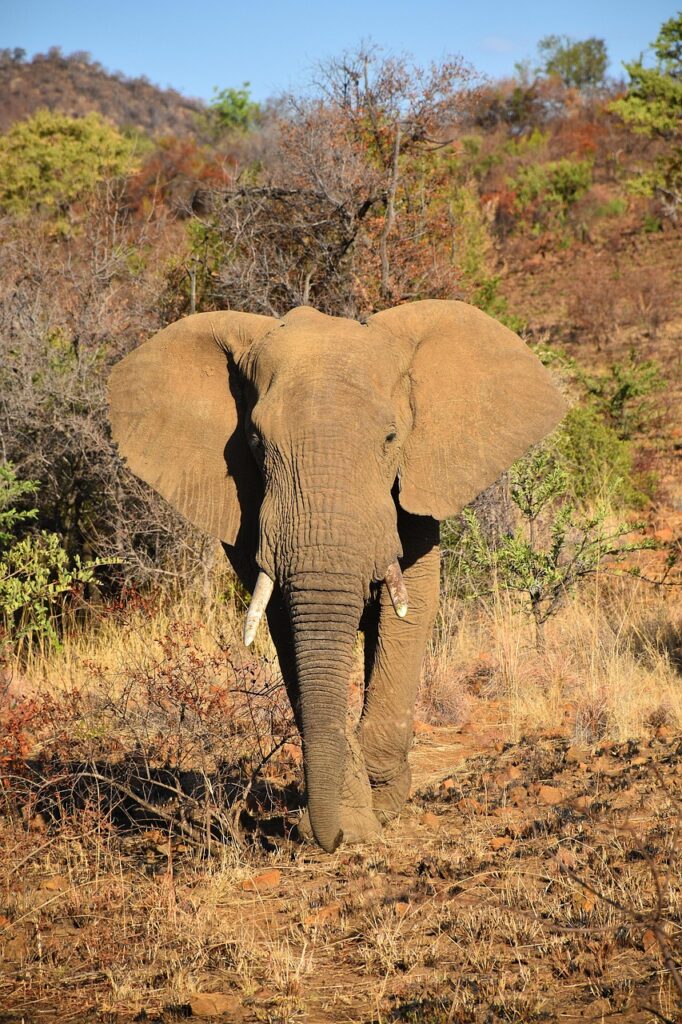 ノンシリコンシャンプーは本当にだまされた？