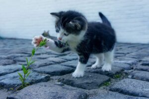 フケが気になる乾燥頭皮の対策はこれで決まり？